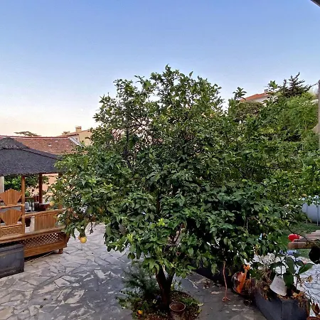 Studio Au Calme, Proche Mer Apartman Nizza